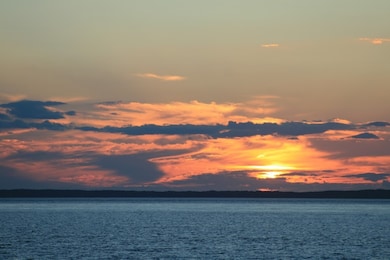 56 Boghouse Way, Vineyard Haven, MA 02568 - photo 4