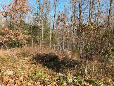 Tbd Farm Road 2090, Jenkins Township, MO 65605 - photo 3