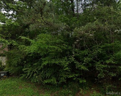 0 Oak Ln unit 3 580314, Childersburg, AL 35044 - photo 5