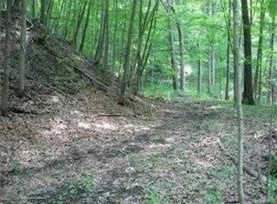 6 Thompson Dr, Staatsburg, NY 12580 - photo 3