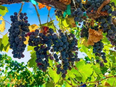 15875 S Walnut Grove Rd, Kirkland, AZ 86332 - photo 2