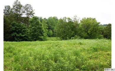 Lot 2 Appaloosa Trail, Iron Station, NC 28080 - photo 6