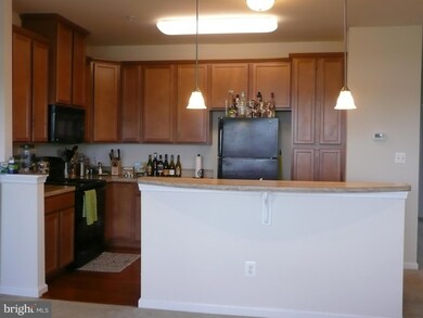 42561 Burbank Terrace, Sterling, VA 20166 - photo 4