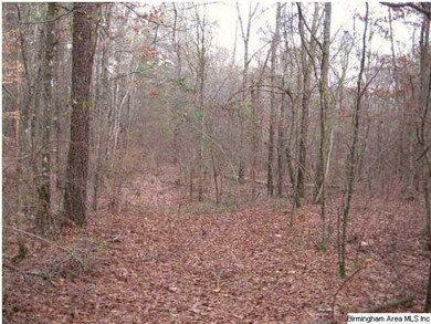 Old Road bed