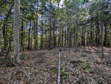 008-043-001 School House Rd, Francestown, NH 03043 - photo 5