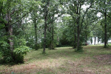 Tbd Silverbell Dr, Ruth B Rural Township, MO 65686 - photo 3