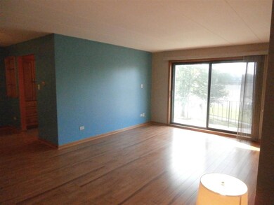 11045 S Theresa Cir unit 2A, Palos Hills, IL 60465 - photo 7