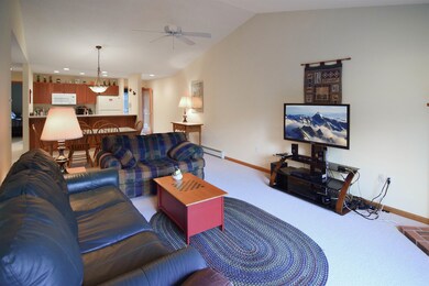 91 Stickney Cir unit 47, Carroll, NH 03575 - photo 6