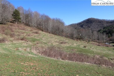 Part of the gently sloping south side pasture.