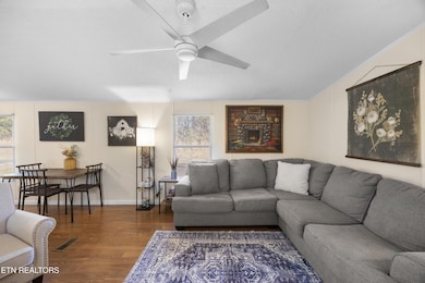 382 2nd St, Corryton, TN 37721 - photo 7