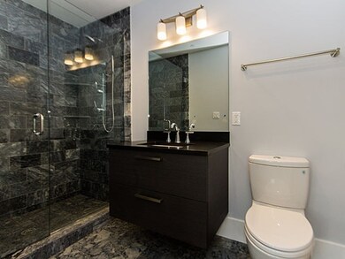 10 Saint George St unit 506, Boston, MA 02118 - photo 7