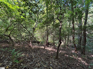 00 Whitewater Lake Rd, Tamassee, SC 29686 - photo 6