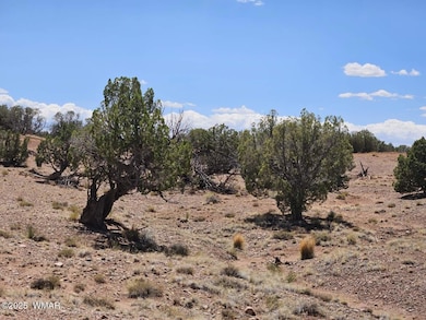 27 N 9183, Concho, AZ 85924 - photo 4