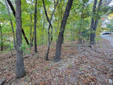 0 Cockerham Ln, Bella Vista, AR 72714 - photo 7