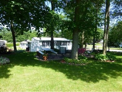 shade trees keep you cool