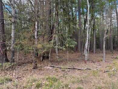 0 County Road 2317 unit 78772077, Dayton, TX 77535 - photo 3