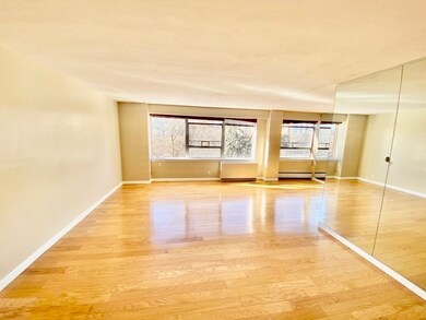 Hammond Park Condominiums unit 304, Chestnut Hill, MA 02467 - photo 3