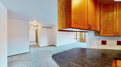 410 SW Crestview St unit B-2, Pullman, WA 99163 - photo 4