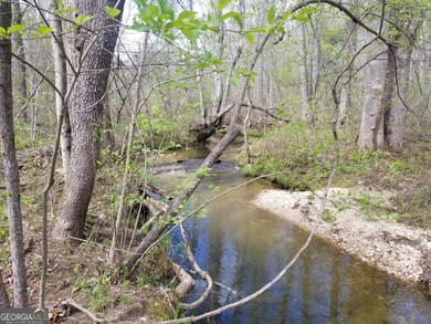 0 Susie Pope Rd unit 10499156, Buchanan, GA 30113 - photo 5