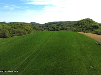 DJI_0308