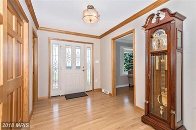 4847 Cap Stine Rd, Frederick, MD 21703 - photo 3