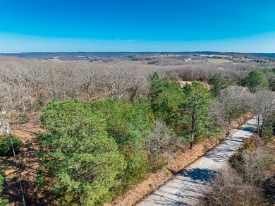 17456 Bethlehem Wc 237 Rd, Winslow, AR 72959 - photo 4