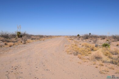 0, Deming, NM 88030 - photo 4