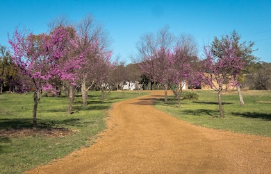 401 Clear Creek Ln, Fredericksburg, TX 78624 - photo 5