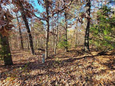 0 Hadnet Ln, Bella Vista, AR 72714 - photo 2