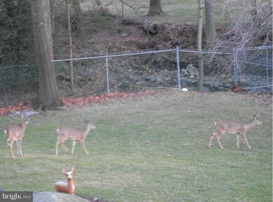 3134 Adderley Ct unit 243-F, Silver Spring, MD 20906 - photo 4