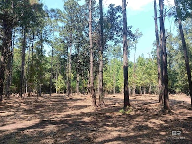 View of wooded area