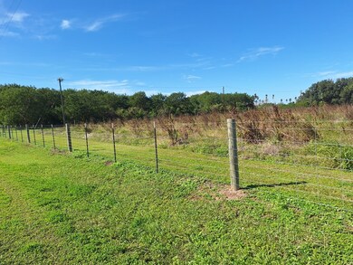 South fence