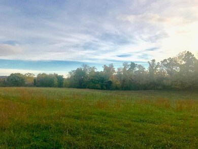 00 Phifer Mountain Rd, Cookeville, TN 38506 - photo 4