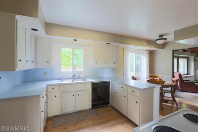 9871 Clyde Park Ave SW, Byron Center, MI 49315 - photo 6