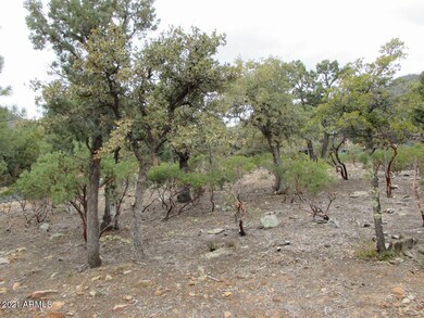 6530 W Ruin Hill Loop unit 150, Pine, AZ 85544 - photo 2