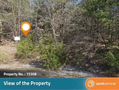 Blackfoot Dr, Holiday Island, AR 72631 - photo 6
