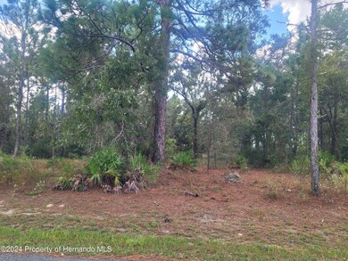 10298 Meadow Wren Ave, Weeki Wachee, FL 34613 - photo 2