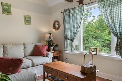 6 Badger Rd, Goshen, NH 03752 - photo 7