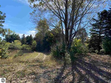 00 E Harrys Rd, Traverse City, MI 49684 - photo 5