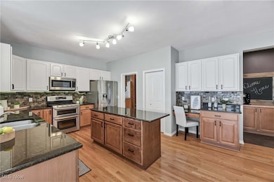 9767 Tuttle Rd, Olmsted Falls, OH 44138 - photo 6