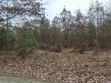 0 Indian Pipe Run, Palmyra, VA 22963 - photo 6