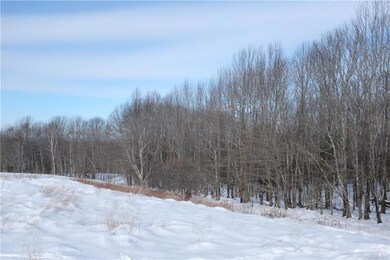 Woods separate the two fields.