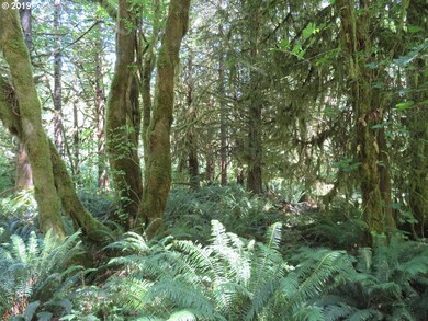 0 Deer Park Ln unit 20 19039654, Toledo, WA 98591 - photo 5