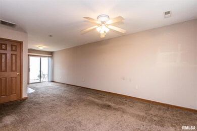 3843 W Palmyra Ct unit 2, Peoria, IL 61604 - photo 4