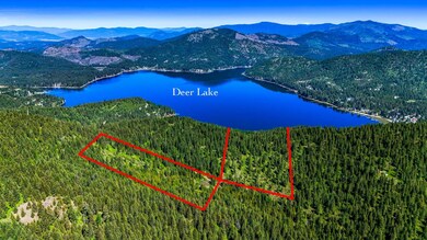 NNA E Deer Lake Way, Loon Lake, WA 99148 - photo 2