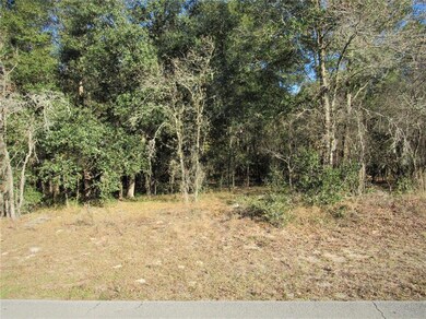 High & Dry New Construction Build Site -Or- Purchase and Hold. Located in Rainbow's End Estates In Popular Dunnellon, Florida!