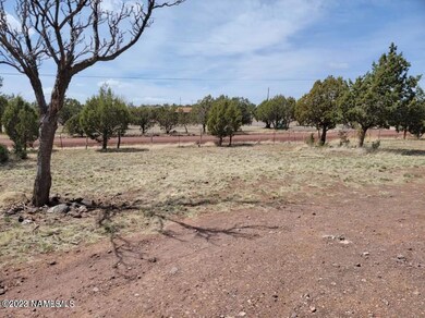 2201 N Luana Dr, Ash Fork, AZ 86320 - photo 4