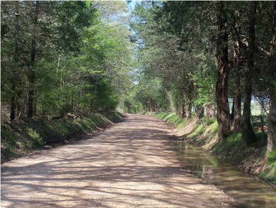 road in front of home