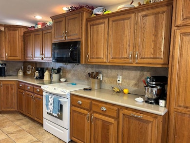 14776 State Highway Ff, Ava, MO 65608 - photo 5