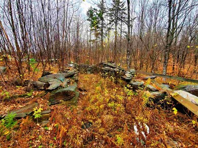 1730 Kittridge Pasture Rd, Reading, VT 05062 - photo 6